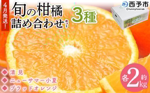 ＜4月発送！旬の柑橘 詰め合わせセット 3種×各2kg＞ 果物 フルーツ みかん ミカン 蜜柑 柑橘 オレンジ ブラッドオレンジ なつみ はるか ネーブル ポンカン 甘夏 特産品 宇都宮物産 愛媛県 西予市【常温】『4月に順次出荷予定』