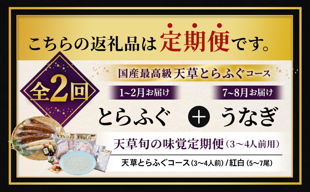 天草旬の味覚定期便2回（3～4人前用）天草とらふぐコース＋天草藍うなぎ紅白5～7尾