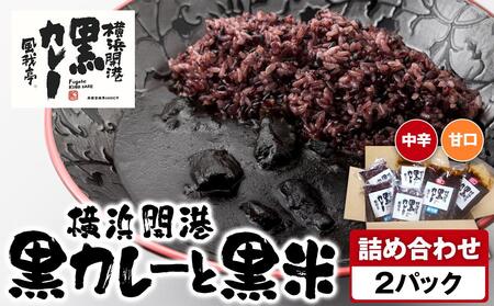 風我亭の横浜開港黒カレーと黒米の詰め合わせ　2パック【中辛1個、甘口1個】