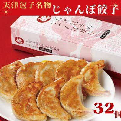 ふるさと納税 佐世保市 【毎月定期便】天津包子名物じゃんぼ餃子 全3回