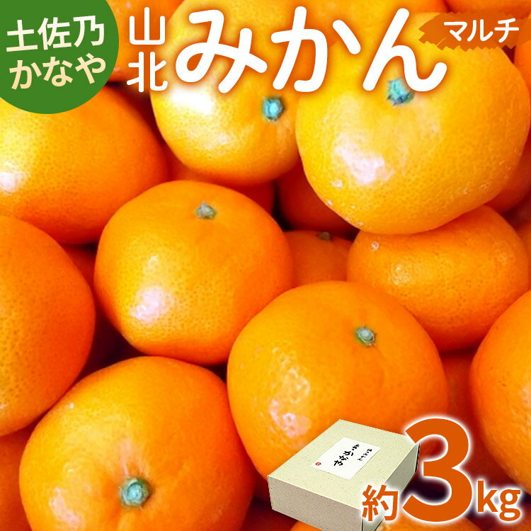 【ふるさと納税】【数量限定】土佐乃かなや マルチ 山北みかん 約3kg - 送料無料 フルーツ 果物 くだもの 温州みかん ミカン 柑橘 甘い おいしい 旬 季節限定 かなや農園 合同会社Benifare 国産 特産品 高知県 香南市【常温】