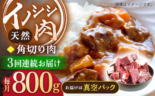 
										
										【3回定期便】ジビエ 天然イノシシ肉 角切り肉 800g（カレー・シチュー）【照本食肉加工所】 [OAJ061]
									