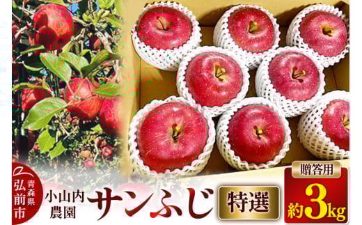 りんご 小山内農園【特選】サンふじ 贈答用 約3kg【弘前市産 青森りんご 果物 フルーツ デザート 食後 青森県産 産地直送 贈り物】