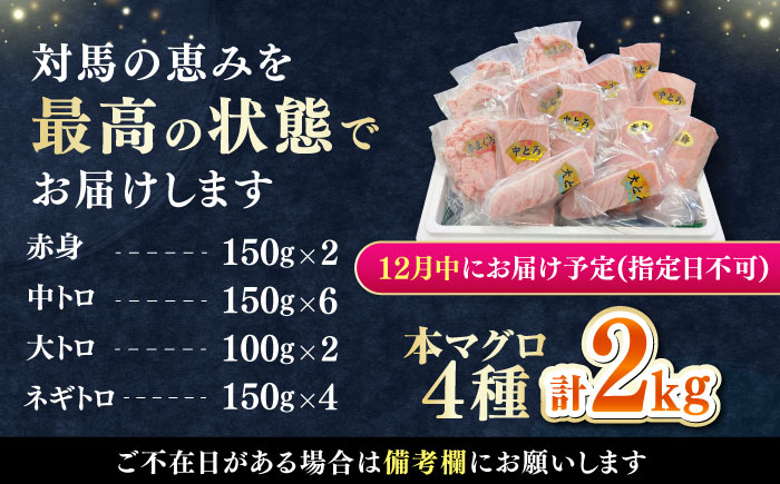 【12月中にお届け】対馬産 本マグロ 4種 計2kg（赤身/中トロ/大トロ/ネギトロ）《対馬市》【対海】 冷凍配送 大容量 新鮮 贈答 贈り物 海鮮丼 手巻き寿司 [WAH027-12]