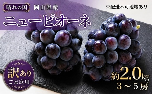 ぶどう 2027年 先行予約 ご家庭用 訳あり ニューピオーネ 約2.0kg（3～5房）ニューピオーネ ピオーネ ぶどう ブドウ 葡萄 岡山 岡山県産 2kg 2.0kg 3房 4房 5房 大粒 種なし 種無し 濃厚 果汁 フルーツ 果物 くだもの 国産 産地直送 旬 夏