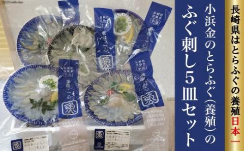 小浜金のとらふぐ「ふぐ刺し」5皿セット / 田中鮮魚店 / 長崎県 雲仙市 [item0869] / ふぐ フグ ふぐ刺し セット [item0869]