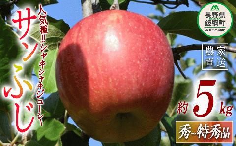 りんご サンふじ 秀 ? 特秀 5kg 大垣農園 沖縄県配送不可 2023年11月下旬?12月下旬まで順次発送 令和5年度収穫分 信州 フルーツ リンゴ 予約 農家直送 長野県 飯綱町 [0318]