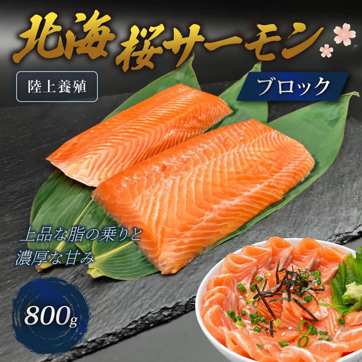 「陸上養殖」 北海桜サーモン ブロック 800g 冷凍 国産 北海道産 道産 松前産 トラウト サーモン 鮭 生鮭 刺身用 お刺身 生食用 柵 カルパッチョ サーモン丼 漬け丼 産地直送 お取り寄せ 海鮮 鮮魚 活〆 北海道 松前町MATP005