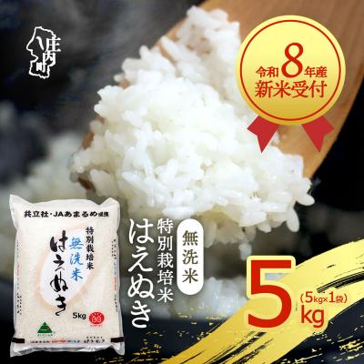 ふるさと納税 庄内町 【新米受付】R8年産 特別栽培米 はえぬき無洗米 5kg【10月より順次発送】