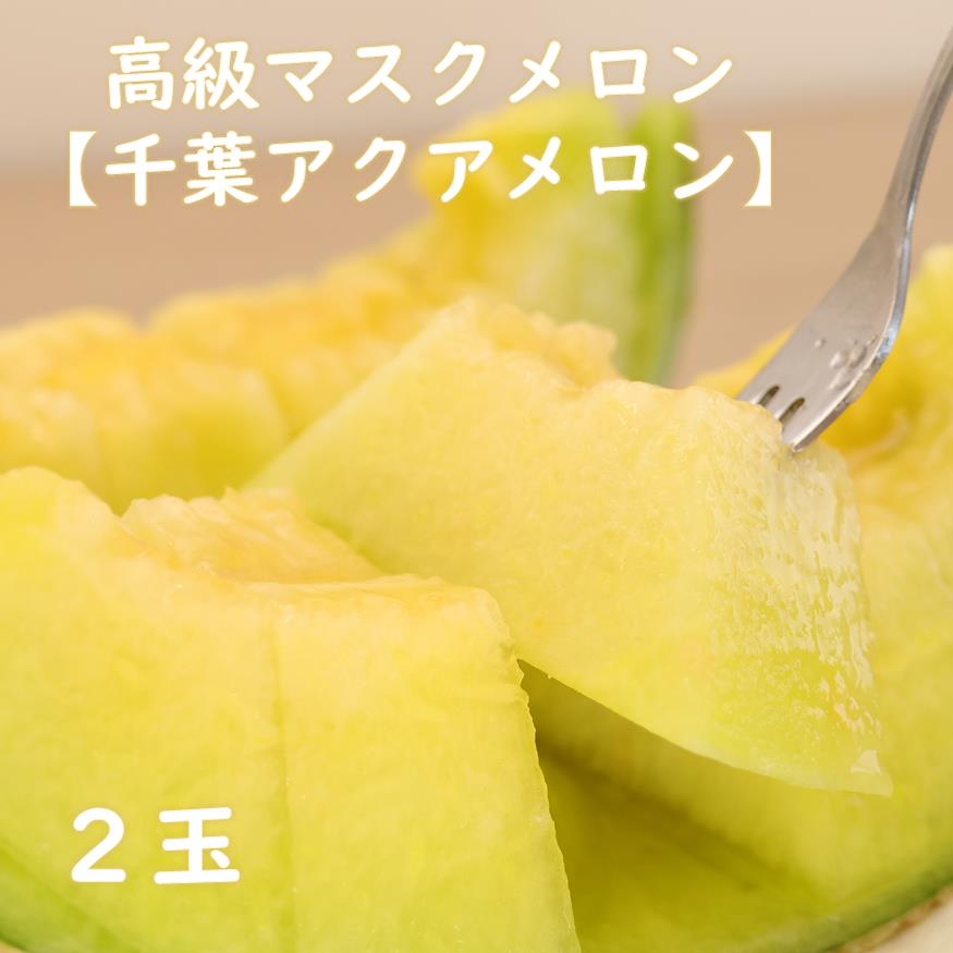【ふるさと納税】高級マスクメロン　千葉アクアメロン　2玉　2L〜3Lサイズ　千葉県産　化粧箱入り　生産者直送　2024年春以降発送