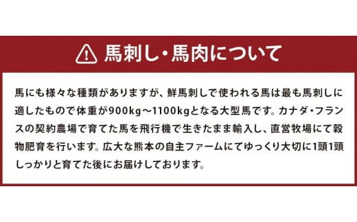 馬刺しバラエティー 6種類 合計1020g 馬刺し 馬刺 馬肉 セット