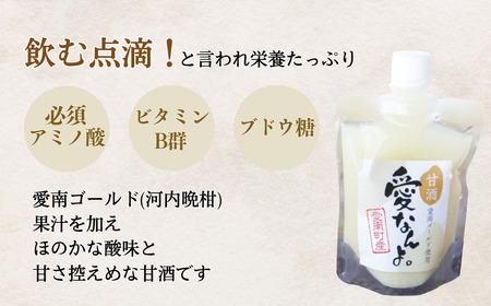 愛南ゴールド 入り 甘酒 ( 170g × 2 本 ) 5000円 お試し あまざけ あま酒 河内晩柑 米 パウチ 170g 持ち運び 片手 手軽 夏バテ 冷え 冷え性 栄養 栄養補給 発酵食品 健康