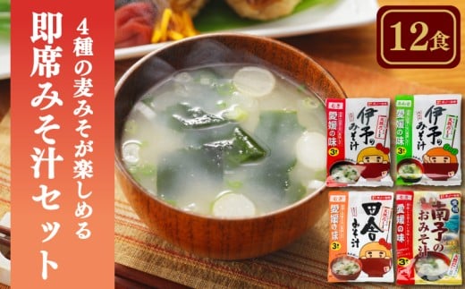 4種 麦みそ が楽しめる即席みそ汁セット（12食入り）| 即席 レトルト 味噌 味噌汁 みそ汁 簡単 便利 具だくさん 食べ比べ 父の日 一人暮らし 減塩 低塩 麦みそ 国産 大麦 大豆 味噌 みそ 調味料 麹 こうじ 味噌汁 みそ汁 愛媛県 松前町 えひめけん まさきちょう ギノーみそ