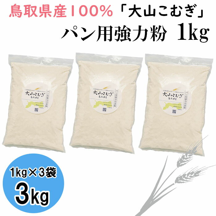 【ふるさと納税】IW04：鳥取県産大山こむぎパン用強力粉（1kg×3袋）