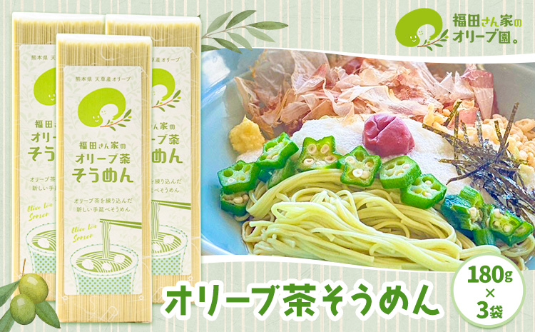 オリーブ茶そうめん3袋セット 福田さん家のオリーブ園。 《30日以内に出荷予定(土日祝除く)》熊本県 苓北町 調味料 油 食用油 オリーブオイル オリーブ オイル オリーブ茶そうめん そうめん