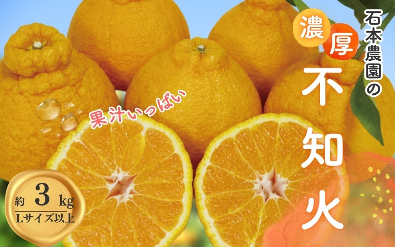 
            Lサイズ以上 石本農園の不知火3kg【3月初旬から下旬までに順次発送】 / みかん ミカン 蜜柑 不知火 デコポン
          
