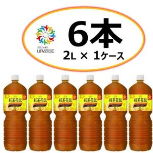 【沖縄限定販売！】紅茶花伝ガーデンレモンティー2L×6本