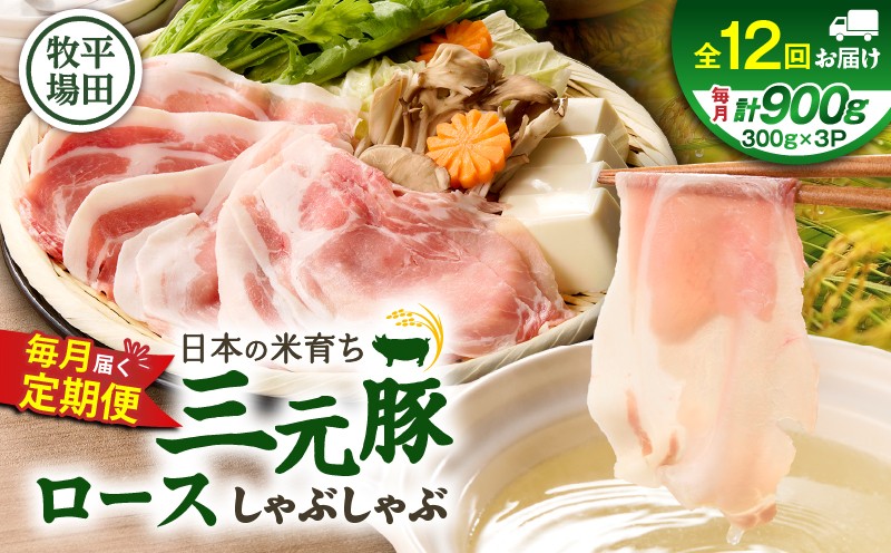 
            【全12回 毎月定期便】日本の米育ち平田牧場 三元豚ロースしゃぶしゃぶ　T036-T01-03
          