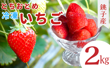 冷凍イチゴ とちおとめ 2kg (1kg×2) いちご  いちご  いちご  いちご  いちご 