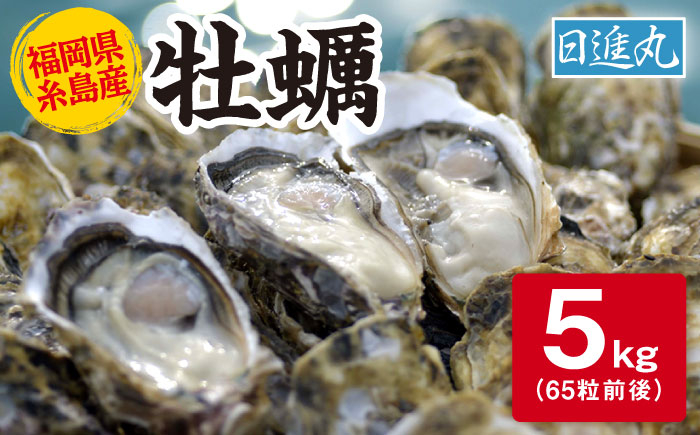 
            【日時指定可】福岡県糸島産 殻付き牡蠣 5kg(65粒前後) 糸島市 / 日進丸 [AWA007]
          