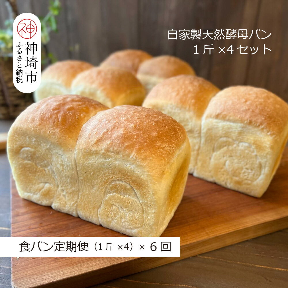 【ふるさと納税】【定期便6回】自家製天然酵母の食パン 4斤【パンと器のコネル】【パンと器のコネル 国産小麦 パン 自家製 天然酵母 玄米麹 朝食 おやつ】(H094127)