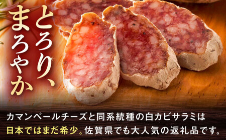 【のし・ギフト対応可】粉雪サラミ3本 / サラミ サラミ サラミ サラミ サラミ サラミ サラミ / 佐賀県 / 有限会社ふるさと倶楽部 [41ABCM012]