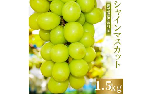 【2025年産 先行予約】埼玉県伊奈町産 シャインマスカット 1.5kg ／山岸農園 ブドウ ぶどう 葡萄 果物 フルーツ 数量限定 フルーツ先行予約