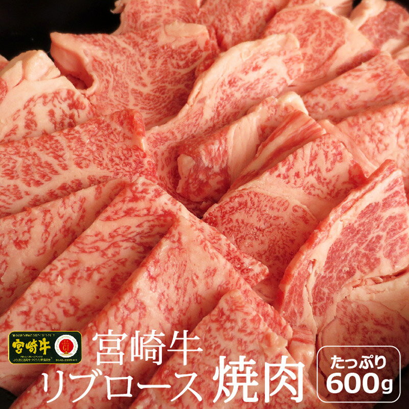 【ふるさと納税】宮崎牛 リブロース 焼肉 600g 約6〜7人前 霜降り BBQ 和牛 牛肉 国産 宮崎県産 送料無料