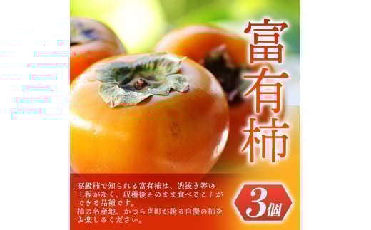 【先行予約】 道の駅くしがきの里セット 富有柿3個・温州みかん約30個の詰め合わせ こだわり農家厳選  【2025年11月中旬頃から2026年1月中旬頃順次発送】/ みかん 温州みかん 柿 富有柿 か