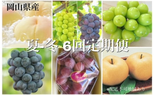 dh-1【令和8年発送・先行予約】岡山県産　晴れの国岡山フルーツ7月8月9月10月11月12月定期便6回　化粧箱入りB