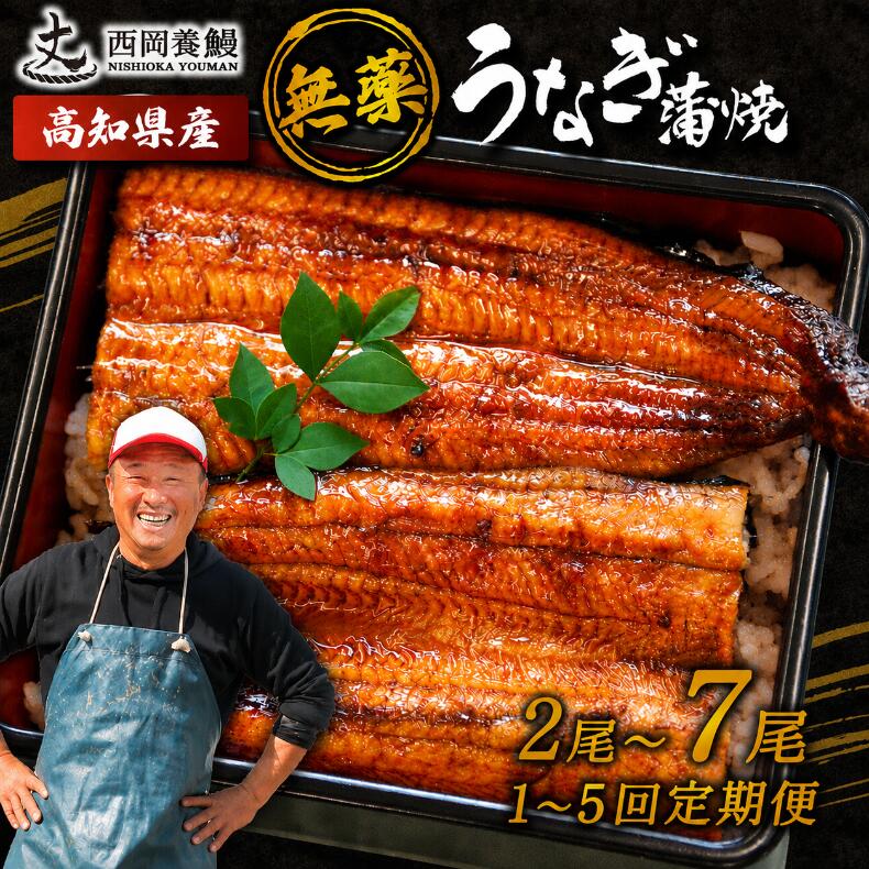 【ふるさと納税】 国産 うなぎ 蒲焼 2尾 ~ 7尾 1回 2回 ～ 5回 定期便 高知県産 無添加 ▼ 国産 うなぎ 鰻 ウナギ 蒲焼 うなぎ 蒲焼き うなぎ タレ 山椒 付き うなぎ ウナギ 鰻 冷凍 鰻 うなぎ ウナギ 鰻 人気 ウナギ うなぎ おすすめ うなぎ おいしい unagi うなぎ