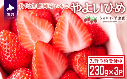 
                  【先行受付開始！】北海道浦河産いちご「やよいひめ」230g×3P[13-883]
                