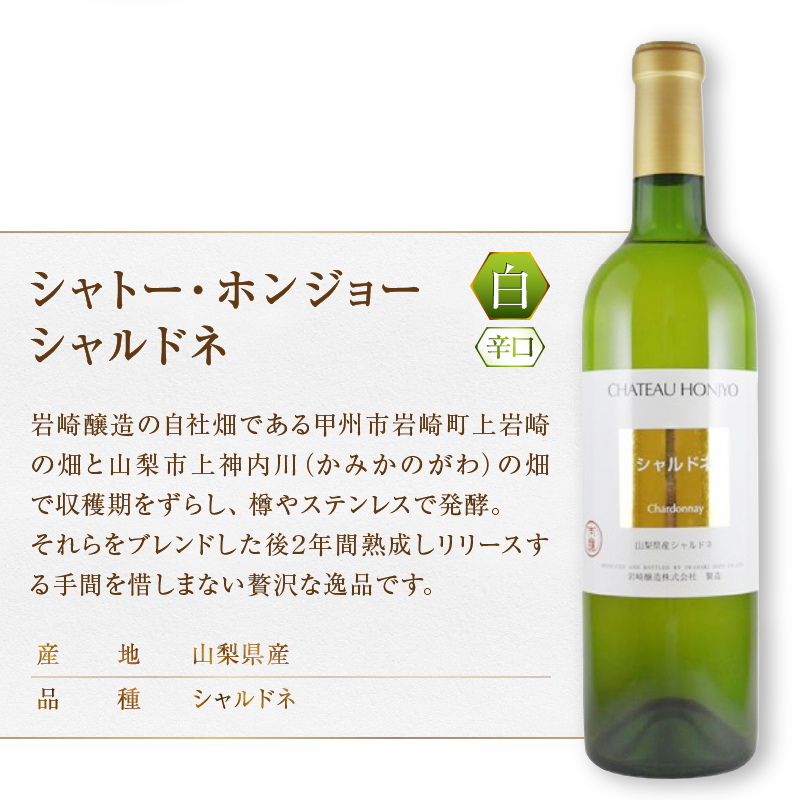 ホンジョーワイン厳選赤白ワイン２本セット（MG）C-681