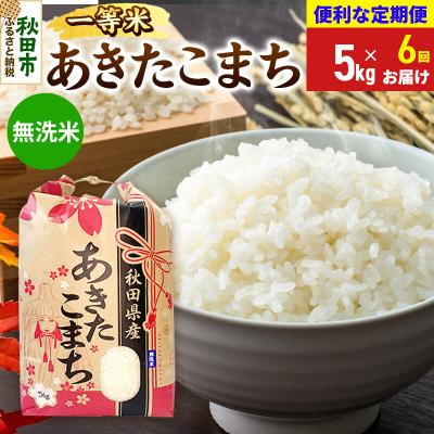 ふるさと納税 秋田市 《定期便6ヶ月》あきたこまち 一等米 5kg 無洗米|15_kml-010506ms