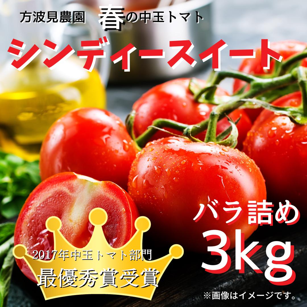 
春の中玉トマト「シンディースイート」バラ詰め／3kg
