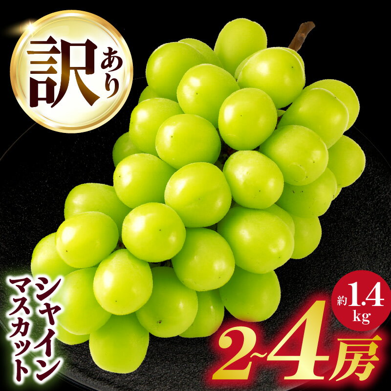 【ふるさと納税】【2025年・2026年選べる配送年】期間限定 先行予約 訳ありシャインマスカット 約1.4kg入り 2～4房 シャイン マスカット ぶどう 果物 果実 果汁 人気 おすすめ シャインマスカット フルーツ デザート 種無しシャインマスカット 不揃い 訳あり 香川県 三木町