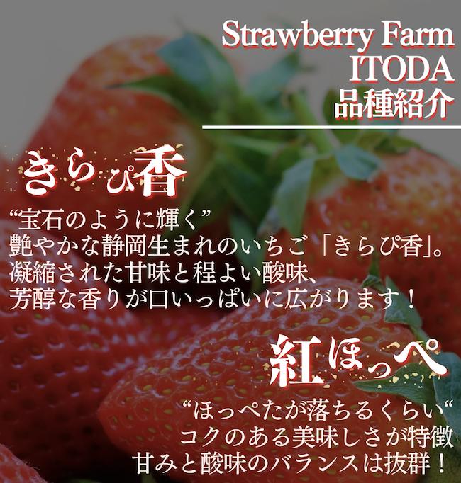 地元JA品評会金賞受賞　冷凍イチゴ4Kg　【 いちご 果物 フルーツ 苺 イチゴ 冷凍 果物 フローズン くだもの 大容量 静岡県産 期間限定 】　<AO-6>