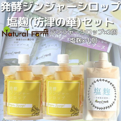 【ふるさと納税】発酵ジンジャーシロップ&塩麹A7-11【配送不可地域：離島】【1482017】