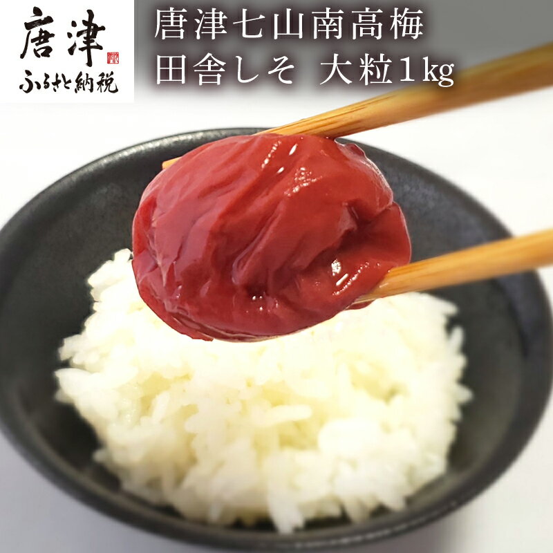 【ふるさと納税】唐津七山 南高梅大粒しそ味 500g×2(合計1kg)「irodoriからつ四季の返礼品」山間から湧き出る澄んだ水をふんだんに含んだ土壌で栽培 「2025年 令和7年」