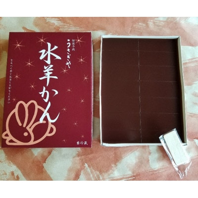 福井の冬の水羊かん(大×3枚+小×2枚)【配送不可地域：離島】【1270108】