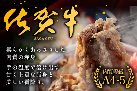 佐賀牛切り落とし【もも、うで、ばら】600g×2P(1.2kg)｜佐賀牛 和牛 国産牛 高級 ごちそう ギフト グルメ 贅沢 ふるさと納税 ブランド牛 佐賀県 鹿島市 お取り寄せ 牛肉好き必見 鹿島 