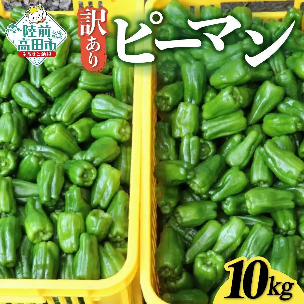 訳ありピーマン 10kg 野菜 大容量 ピーマン