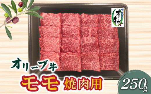 
M04-0104_香川県産黒毛和牛　オリーブ牛モモ焼肉250ｇ
