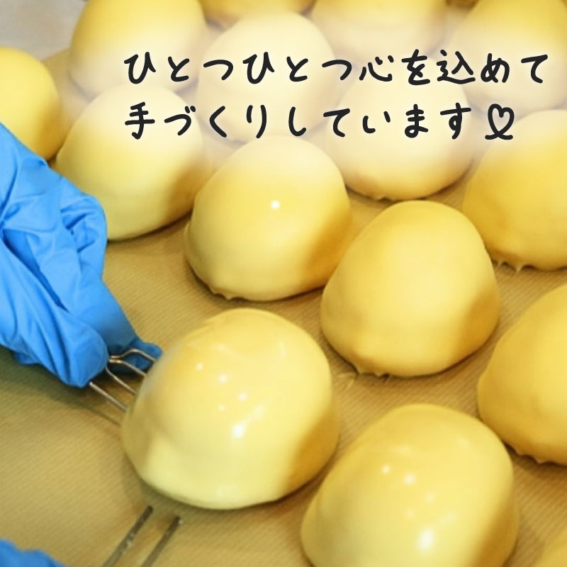 レモン美人 5個入り レモンケーキ レモン 檸檬 ケーキ お菓子 焼菓子 スイーツ レモンチョコ チョコ チョコレート デザート ギフト プチギフト プレゼント お土産 結城堂 新潟県 新発田市 yu