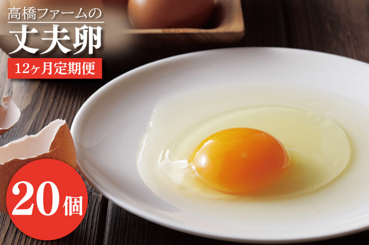 
                  【12ヶ月定期便】国産たまご「高橋ファームの丈夫卵」20個入り｜平飼い鶏舎 卵 玉子 タマゴ 鶏卵 朝食 生卵 卵かけごはん (AQ010)
                