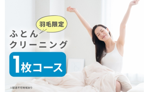 [No.5895-0589]ふとんクリーニング 1枚 （羽毛限定）