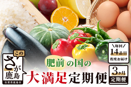 【３ヶ月お届け】肥前の国の農産物大満足定期便 【 野菜 卵 米 果物 新鮮 セット 詰め合わせ 定期便 産地直送 肥前 】E-61