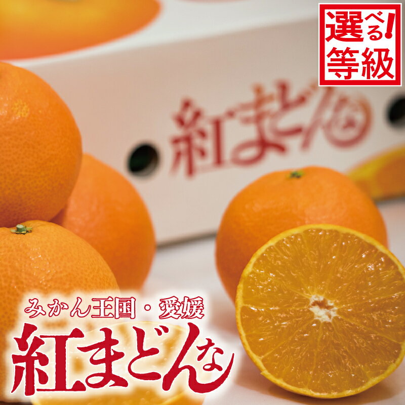 【ふるさと納税】 【先行予約】【2025年11月下旬以降順次発送】紅まどんな 青秀 〇等級 化粧箱 高級 柑橘 愛果28号 あいか みかん ミカン mikan フルーツ 個包装 果物 くだもの 人気 おすすめ 贈答 ギフト 愛媛県 松山市 送料無料