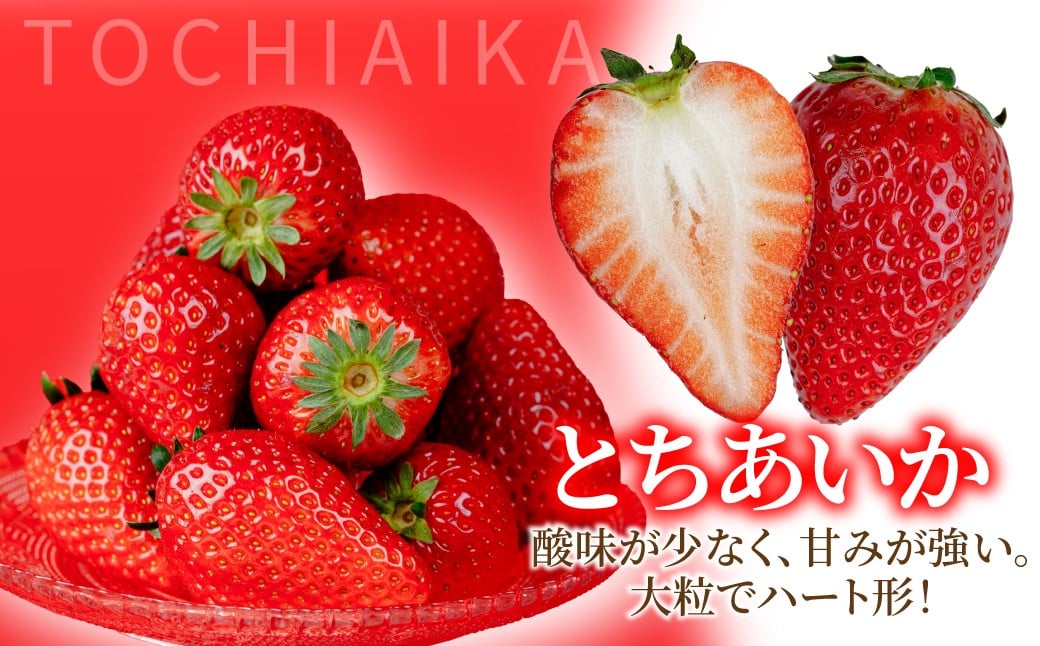いちご イチゴ 苺 とちあいか 第2回いちご選手権金賞 ブランドいちご ストロベリー 完熟 甘い あまい 果物