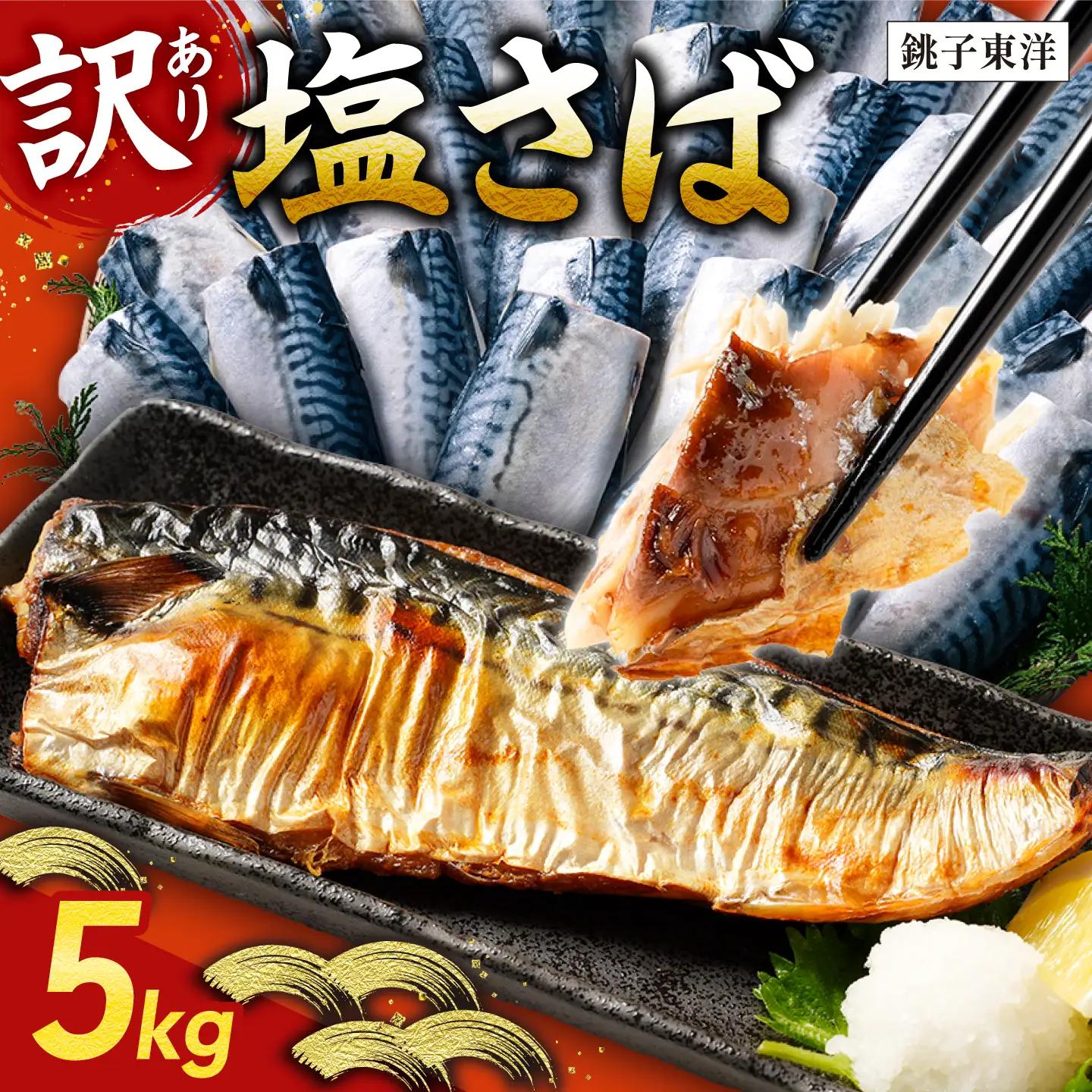 鯖 訳あり 5kg 塩鯖